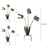 Metal Carnivorous Plant Garden Stake Weatherproof Large Venus Flytrap Plant Sculpture Rust Proof Painted Carnivorous Plants Garden Stake For Outdoor Gardens And Courtyards