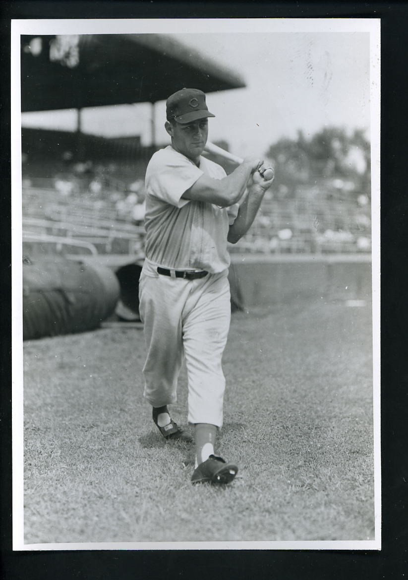 Harry Chiti 1952 Burke & Brace Press Wire Photo Poster painting Chicago Cubs