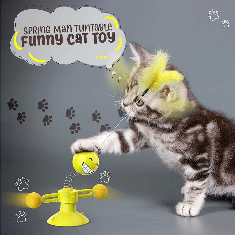 Spring Man Turntable Funny Cat Toy