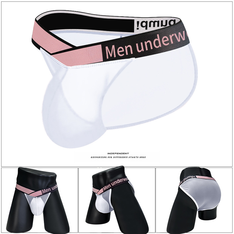 Lovingerie - Men's Mesh See Through Bulge Ball Pouch Bikini Briefs