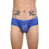 Low Waist Sexy Sheer Mesh Lace Briefs