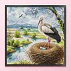 Happy Crane-14CT Stamped Cross Stitch 34*34cm/13.39*13.39in tapestrymarket