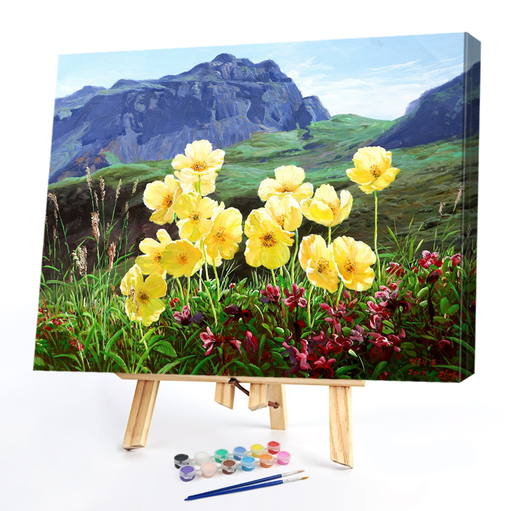 

40*50CM Paint By Numbers-Flowers, 501 Original
