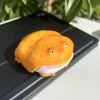 Frog Airpods Case Funny Gift Idea