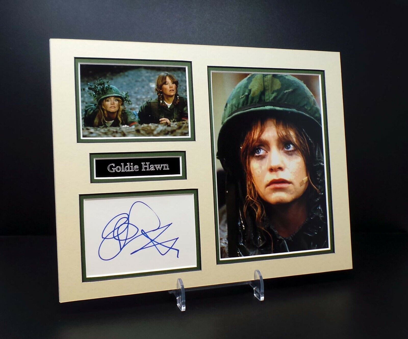 Goldie HAWN Signed Mounted Private Benjamin Photo Poster painting Display AFTAL RD COA