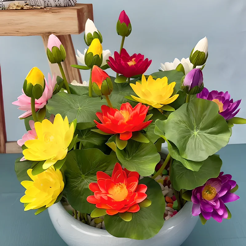 🔥【7 days germination】💐The Sacred Bonsai Bowl Lotus Flower