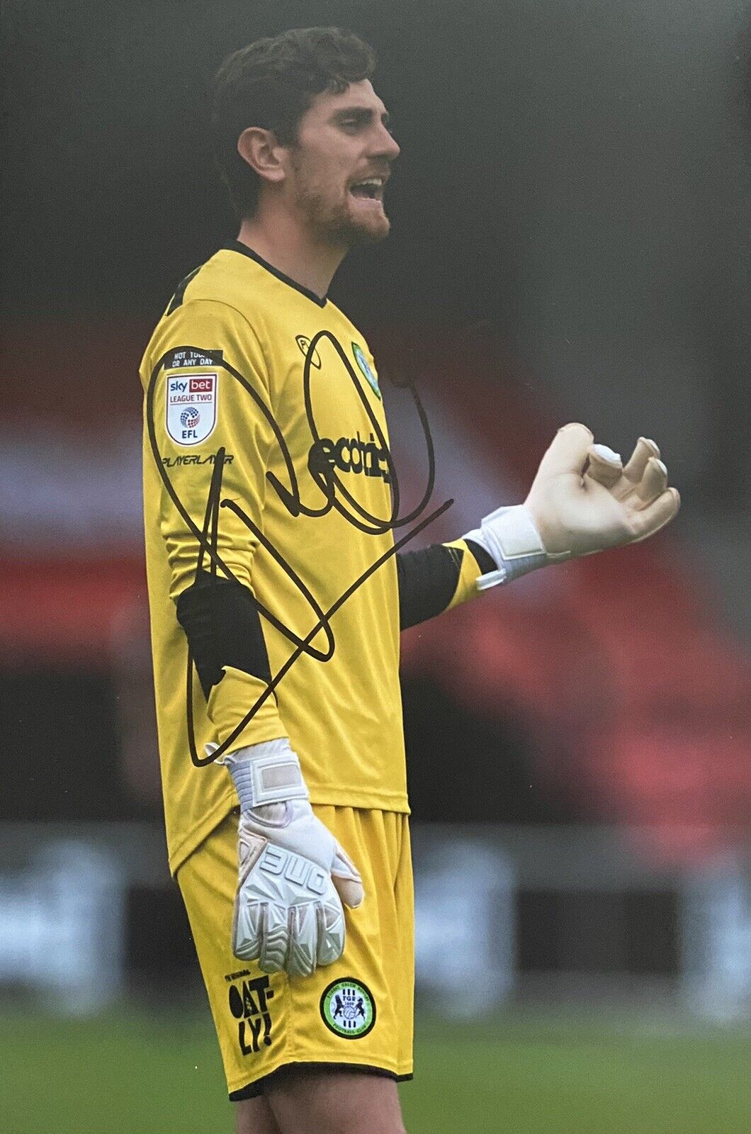 Luke McGee Genuine Signed Forest Green Rovers 12x8 Photo Poster painting