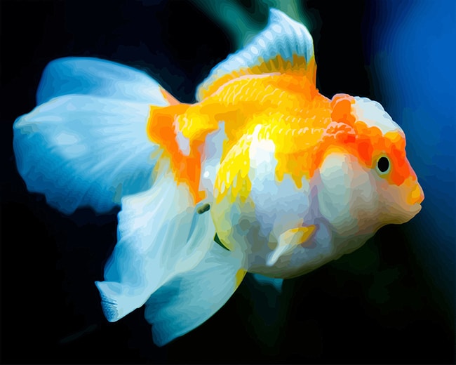 

Golden Blue Fish – Paint By Numbers - 40*50CM, 501 Original