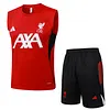 Joyfball 2025/2026 Liverpool Vest training Red Jersey 1:1 Thai Quality