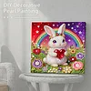 DIY Pearl Painting Rainbow Rabbit for Home Decor with Frame(25x25cm)