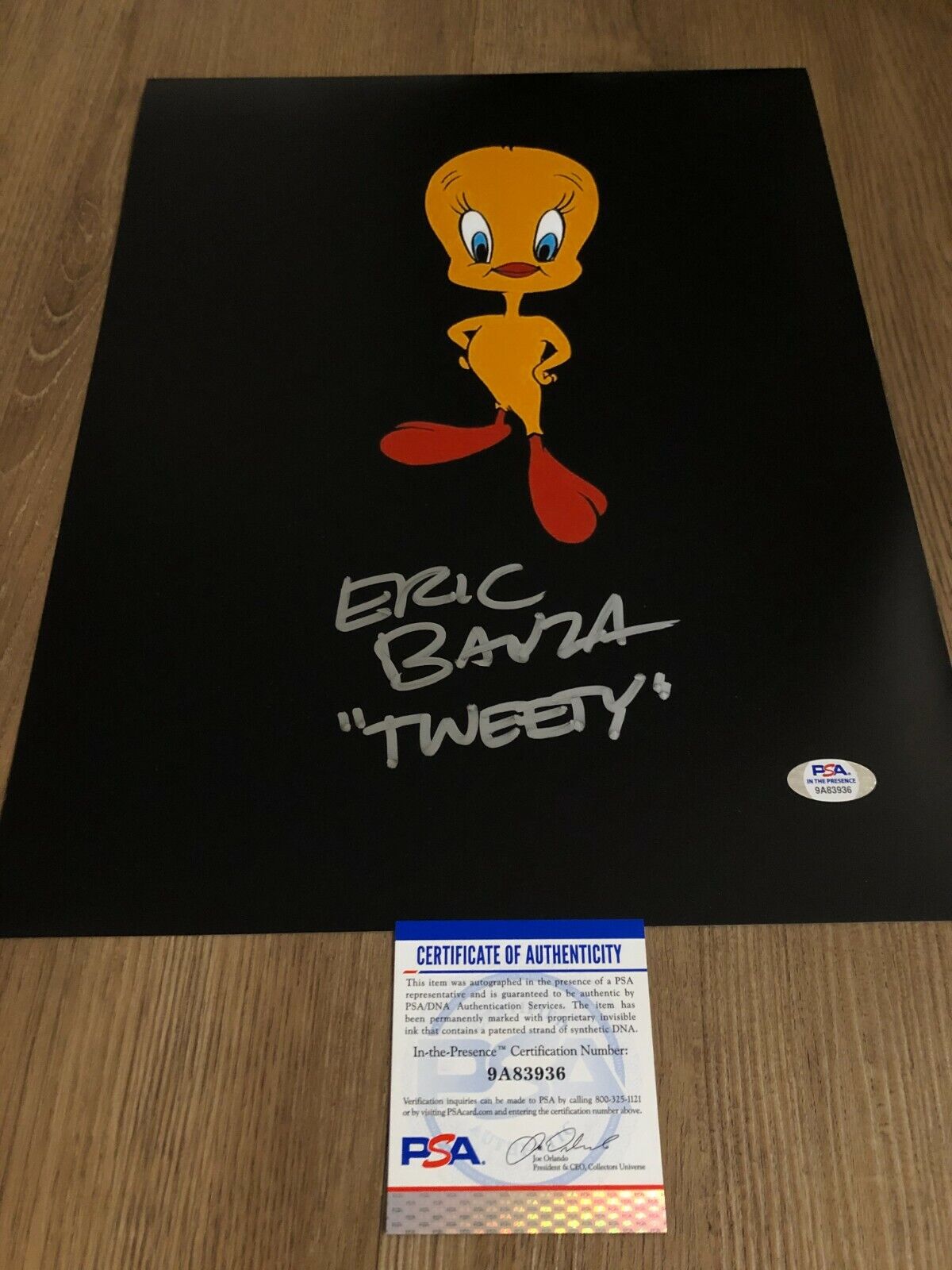 Eric Bauza Looney Tunes Tweety Bird Signed Autographed 11x14 Photo Poster painting PSA D