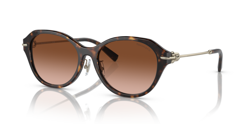 TIFFANY & CO. 0TF4210D TIFFANY & CO. Blakspecs