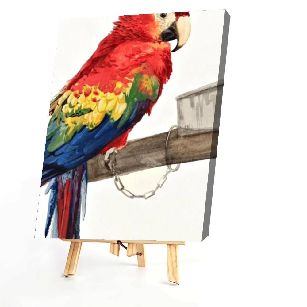 Parrot  - Painting By Numbers - 40*50CM gbfke