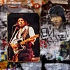 Waylon Jennings Musical - Vintage Metal Signs - 20*30cm/30*40cm - Music