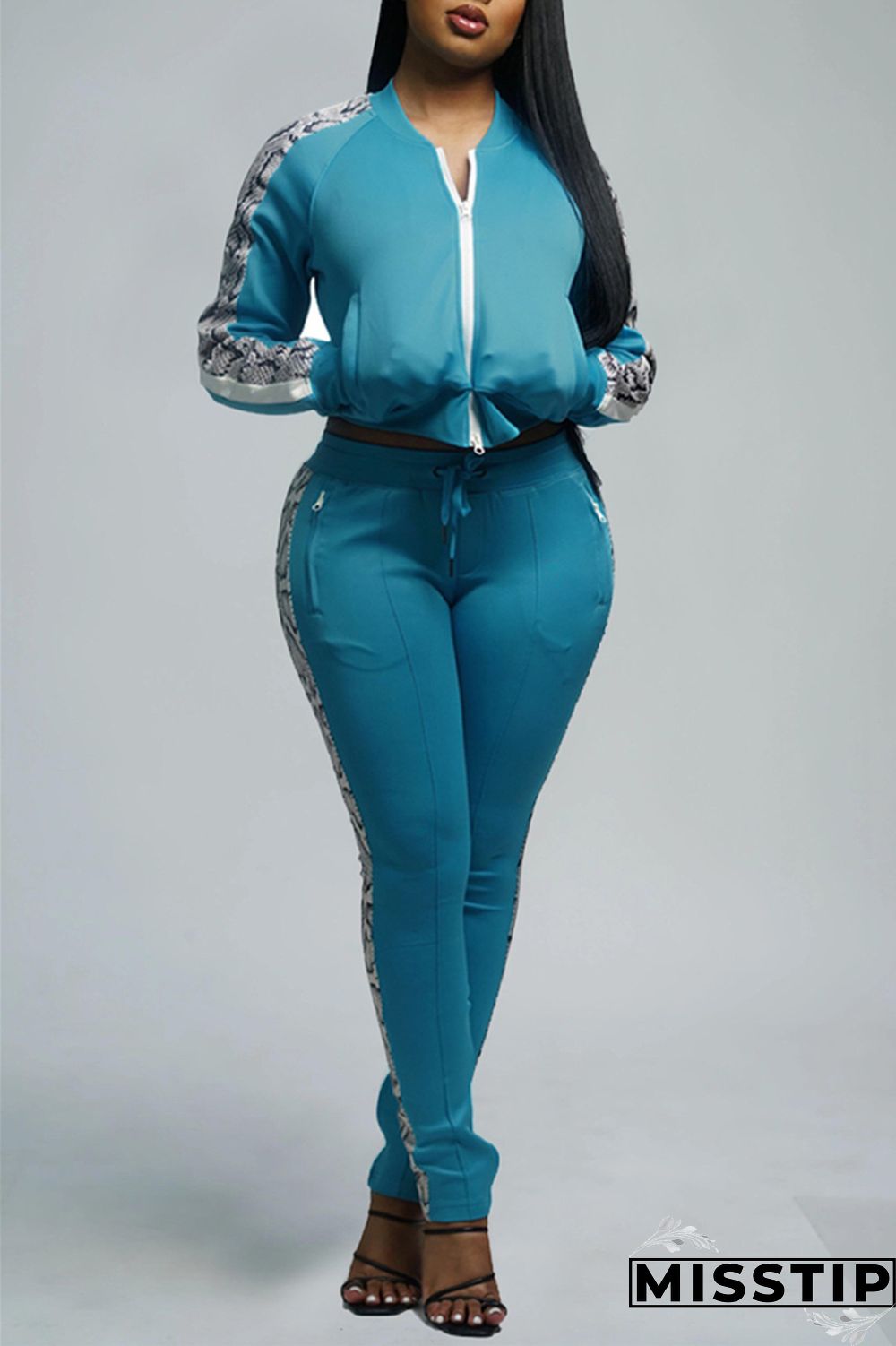 Light Blue Sportswear Solid Patchwork Zipper Collar Long Sleeve Regular Sleeve Regular Two Pieces