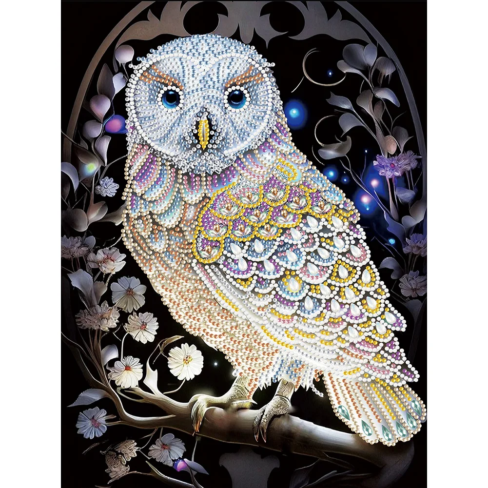 Partial Special-shaped Crystal Rhinestone Diamond Painting - Owl(30*40cm)