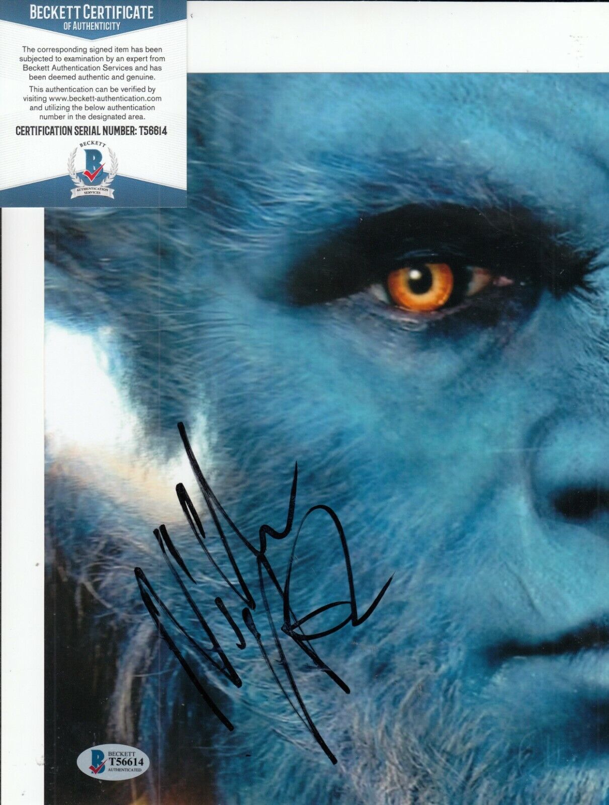 NICHOLAS HOULT signed (X-MEN) Hank/Beast Movie 8X10 Photo Poster painting BECKETT BAS T56614