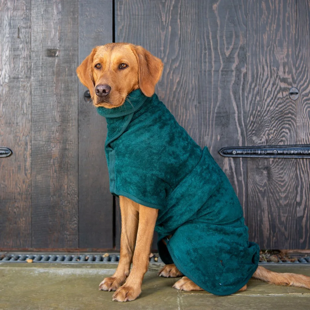 Pet Absorbent Bathrobes And Bath Towels For Dogs
