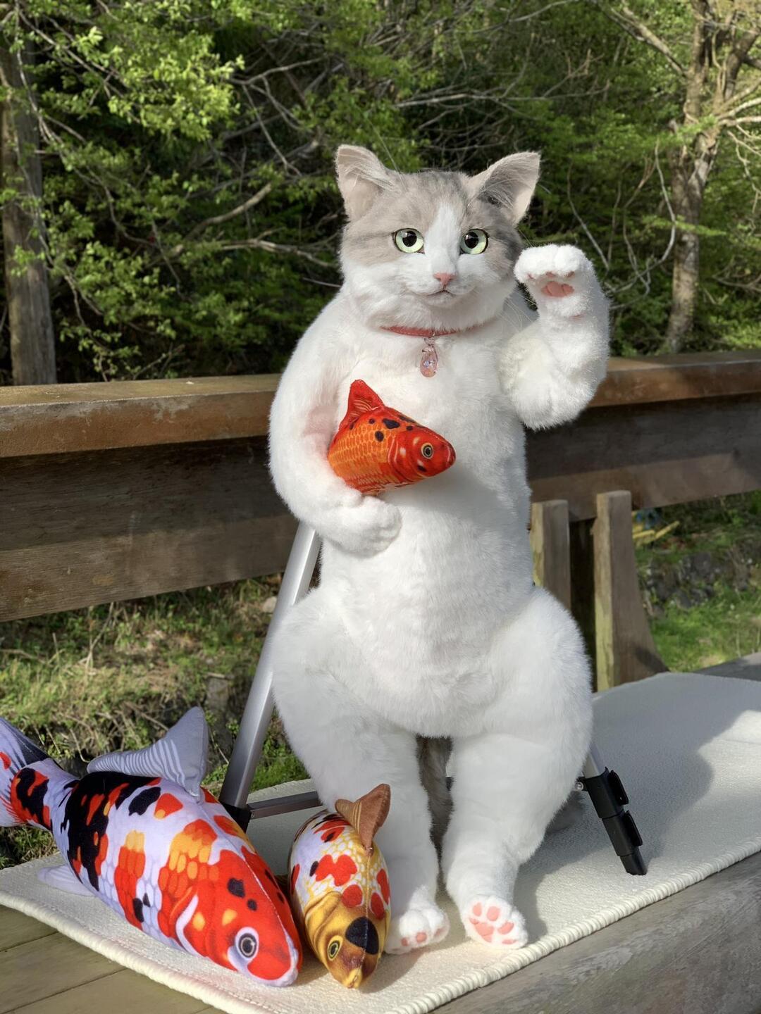 猫リュックの偽物が偽物過ぎてドン引く Hashibirokouのブログ