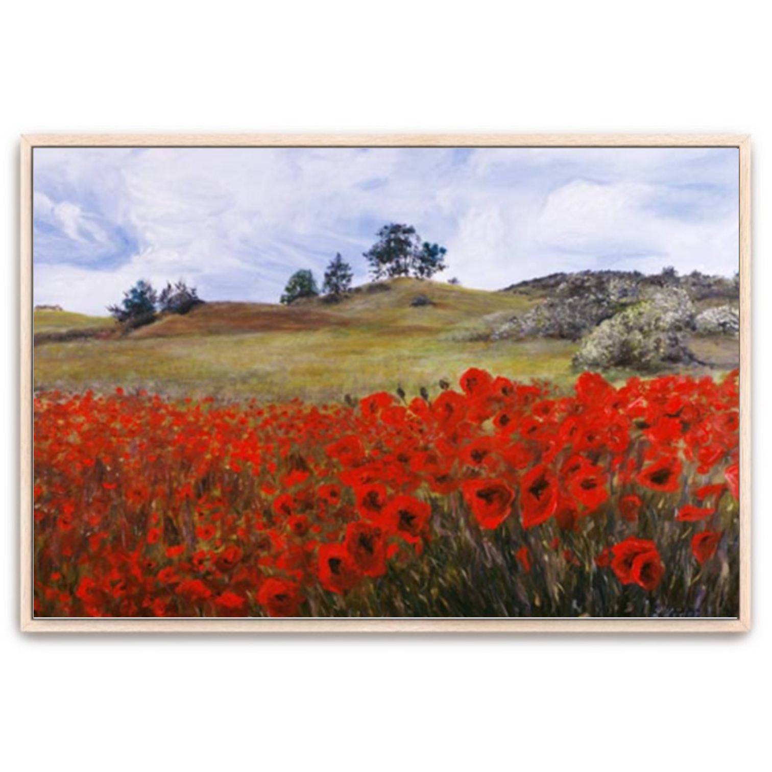 Mohnfeld auf Rügen bei Seedorf - Works with frames