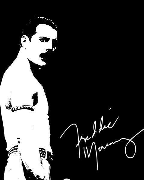 REPRINT - FREDDIE MERCURY Queen Autographed Signed 8 x 10 Photo Poster painting Poster