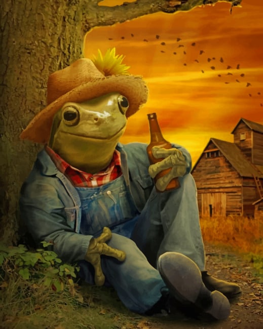 

Farmer Frog – Paint By Numbers - 40*50CM, 501 Original