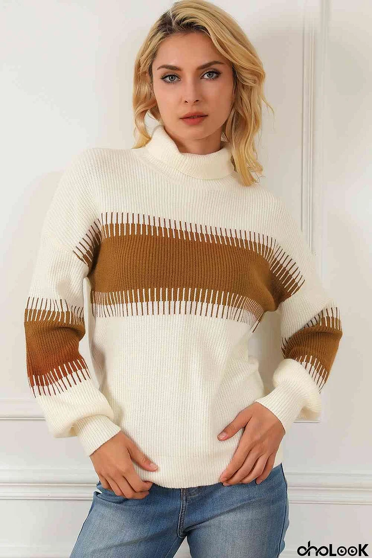 Contrast Turtleneck Long Sleeve Sweater