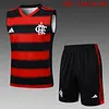 2025/2026 Flamengo Pre-Match Training Vest+Shorts Football1:1 Thai Quality