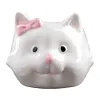[US Local Warehouse] Cat Ceramic Succulent Pot Bonsai Container Resin with Drain Hole for Home Office