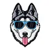 Carefree Cool Dog