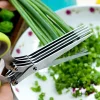 5 Blade Kitchen Salad Scissors (🔥 Hot Sale-50% Off 🔥)