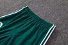 Joyfball 2026/2027 Algeria Half-Pull Training Suit Green Jersey