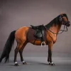 Adorno De Modelo De Caballo De Sangre Caliente Hannoveriano A Escala 1/12
