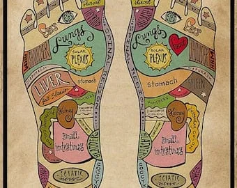 pornhint Pornhint Massage Therapist Foot Reflexology Poster, Foot Reflexology Massage Therapist, Foot Reflexology, Wall Art