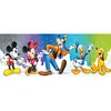 (Multi Style)Disney-Full Embroidery 3 Strands 11CT Stamped Cross Stitch-30*90CM-Large Size