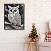 Pearl Owl on Branch-Special Shaped Diamond Painting