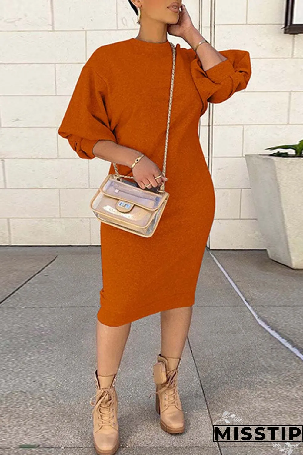 Brown Casual Solid Basic O Neck Long Sleeve Dresses