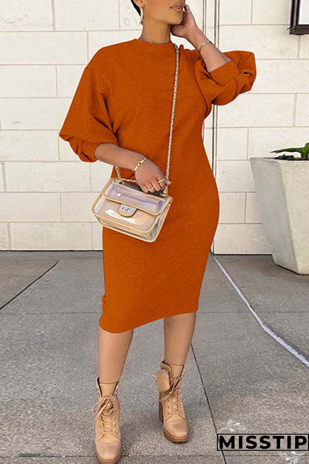 Brown Casual Solid Basic O Neck Long Sleeve Dresses