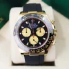 Rolex 116518LN Daytona Intense Black and champagne-colour - New