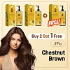 🔥 2025 Hot Sale 50% OFF🔥Coloration nourrissante &agrave; base de plantes