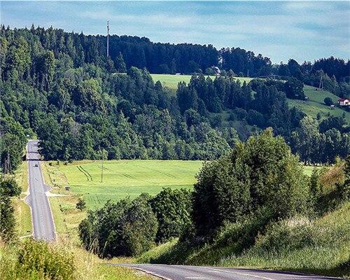 

Freeway To Forest – Paint By Numbers - 40*50CM, 501 Original