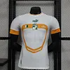 2022 Player Version Ivory Coast Away Football Shirt 1:1 Thai Quality