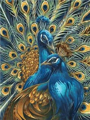 Peacock Paint By Numbers Kits UK With Frame Y5865