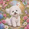 Diamond Painting -5D Full Round Drill Bichon Frise Puppy(40x40cm)