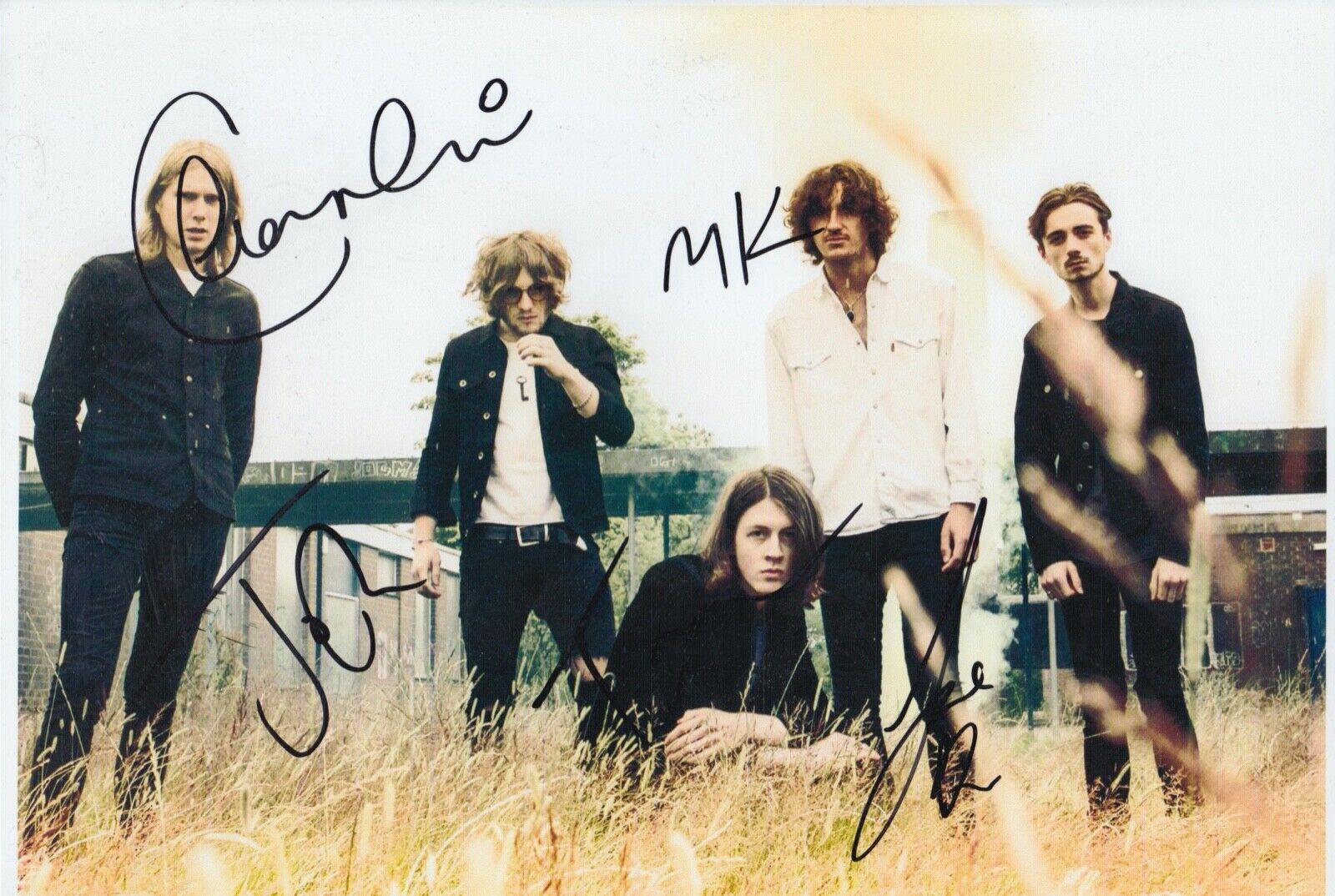 Blossoms Hand Signed 12x8 Photo Poster painting - Music Autograph - Charlemagne 1.