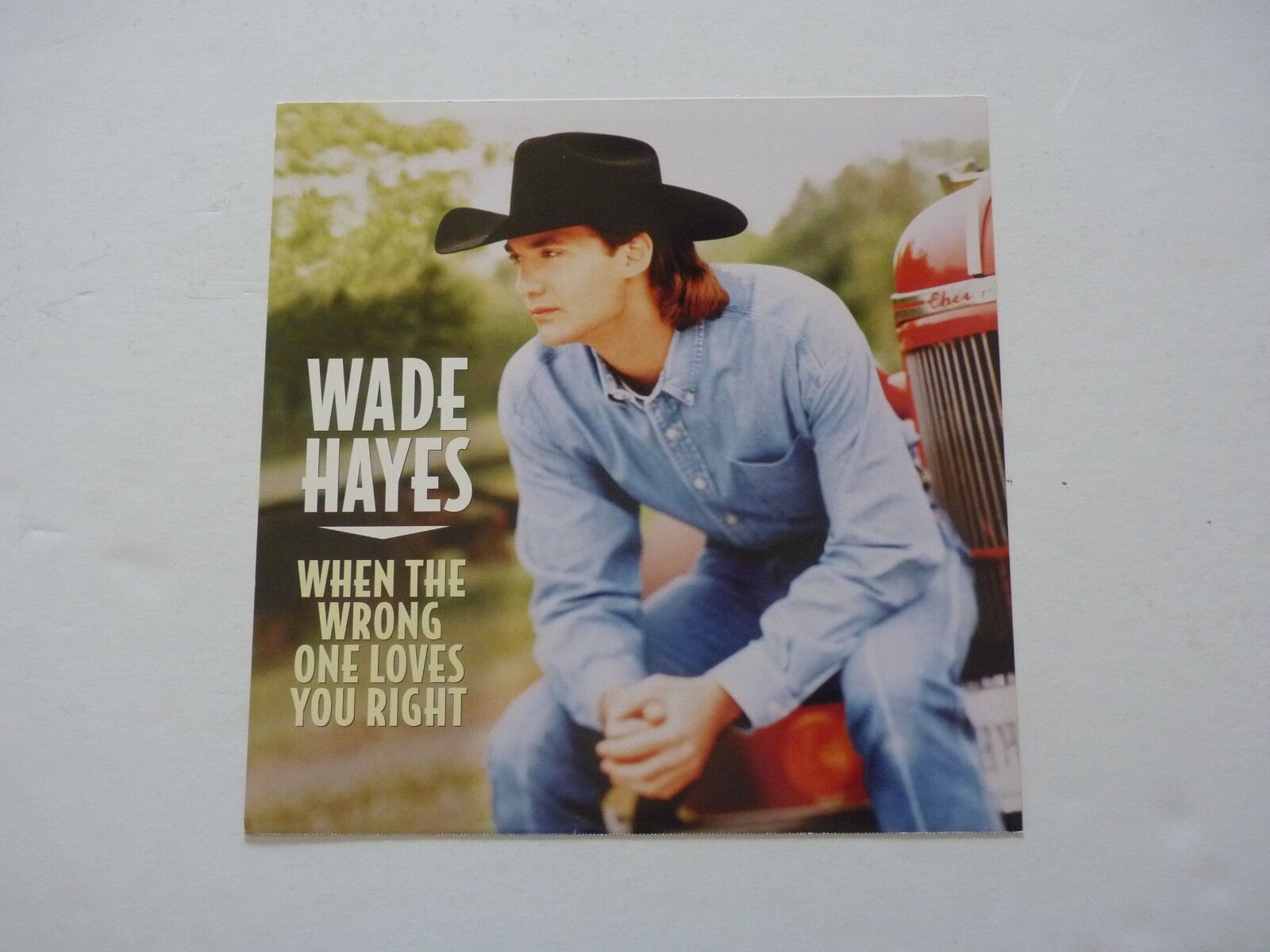 Wade Hayes When the Wrong One Loves You Promo LP Record Photo Poster painting Flat 12x12 Poster