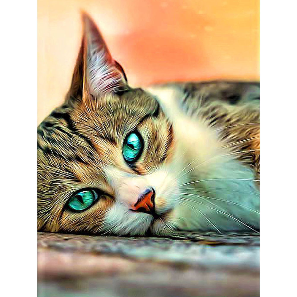 

30*40CM - Square Drill Diamond Painting - Cat, 501 Original