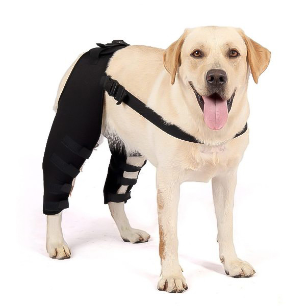 Dog Hip Support For Hip Dysplasia For Back Leg Dog Brace With Safety ...