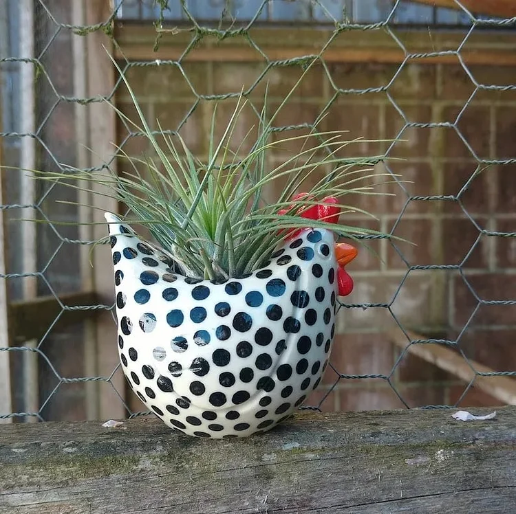  Chicken flowerpot ornament