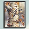 Bird - 18CT Stamped Cross Stitch - 40*50cm